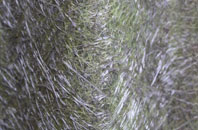 Plumpton fibreglass roof work